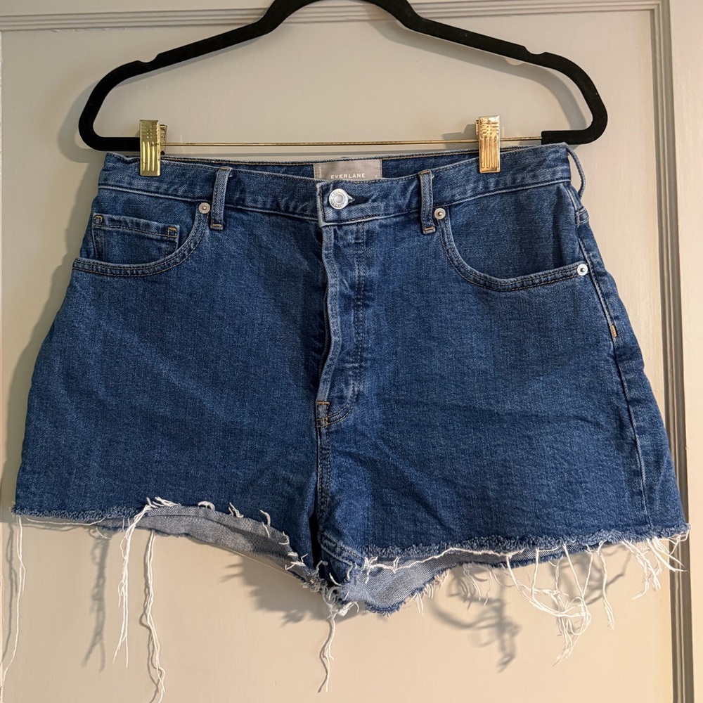 Everlane Denim Cutoff Shorts